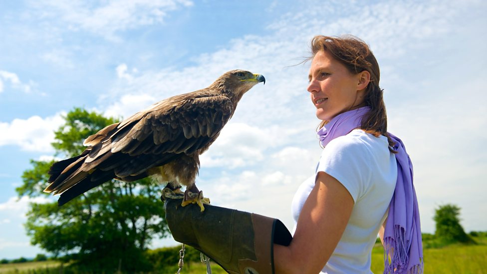 色彩的奥秘 Colour: The Spectrum of Science