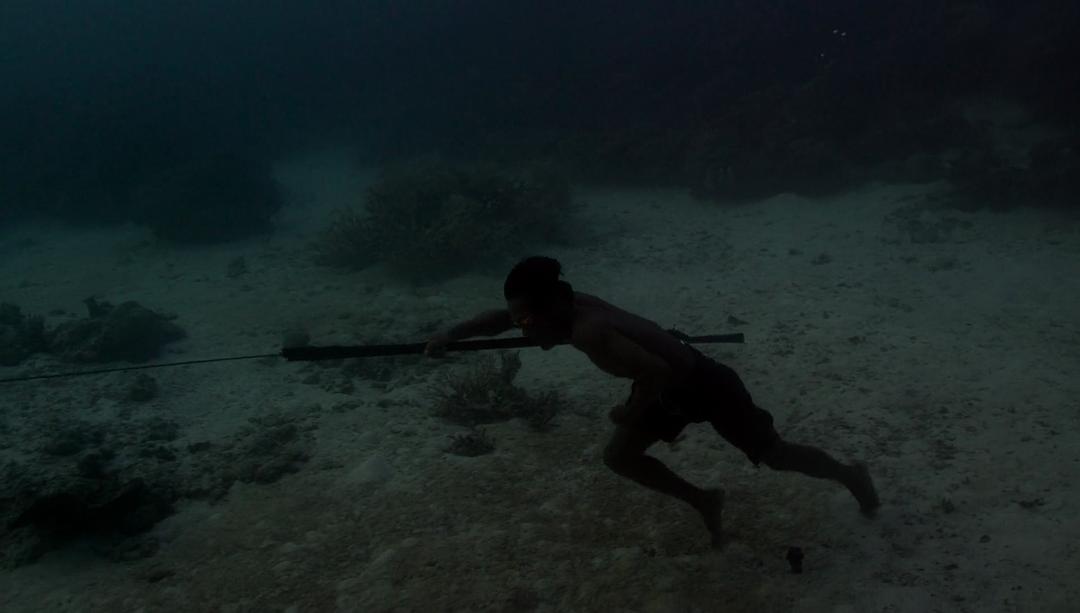 水下人生 Jago：A Life Underwater