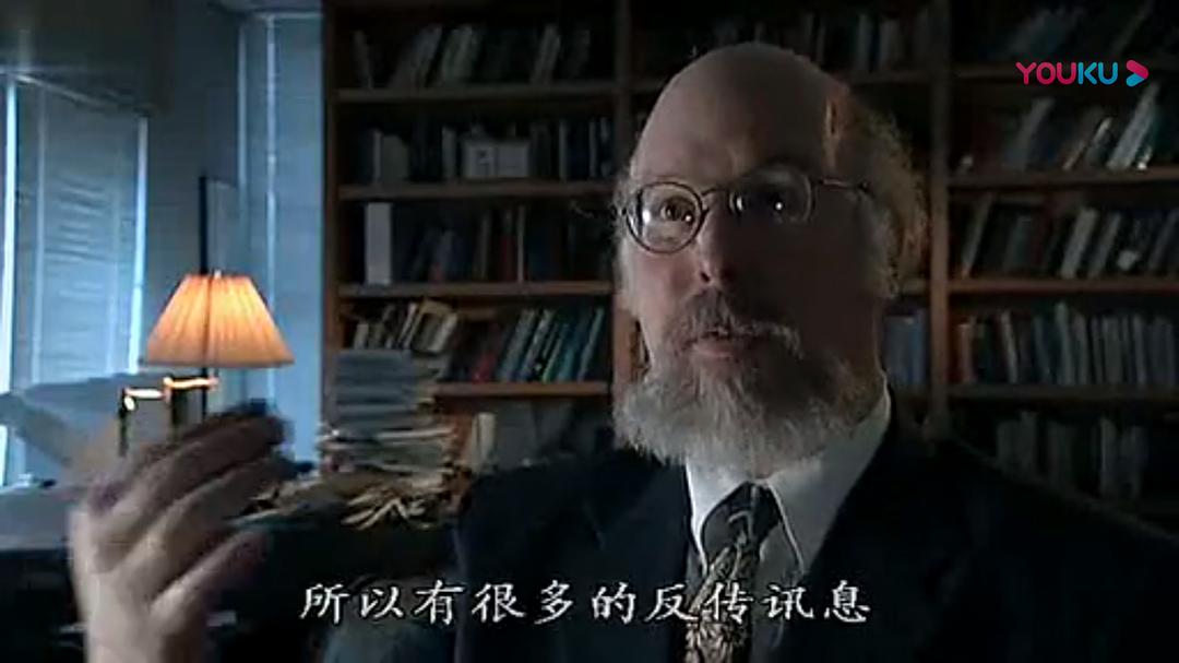 人脑漫游 Brain Story