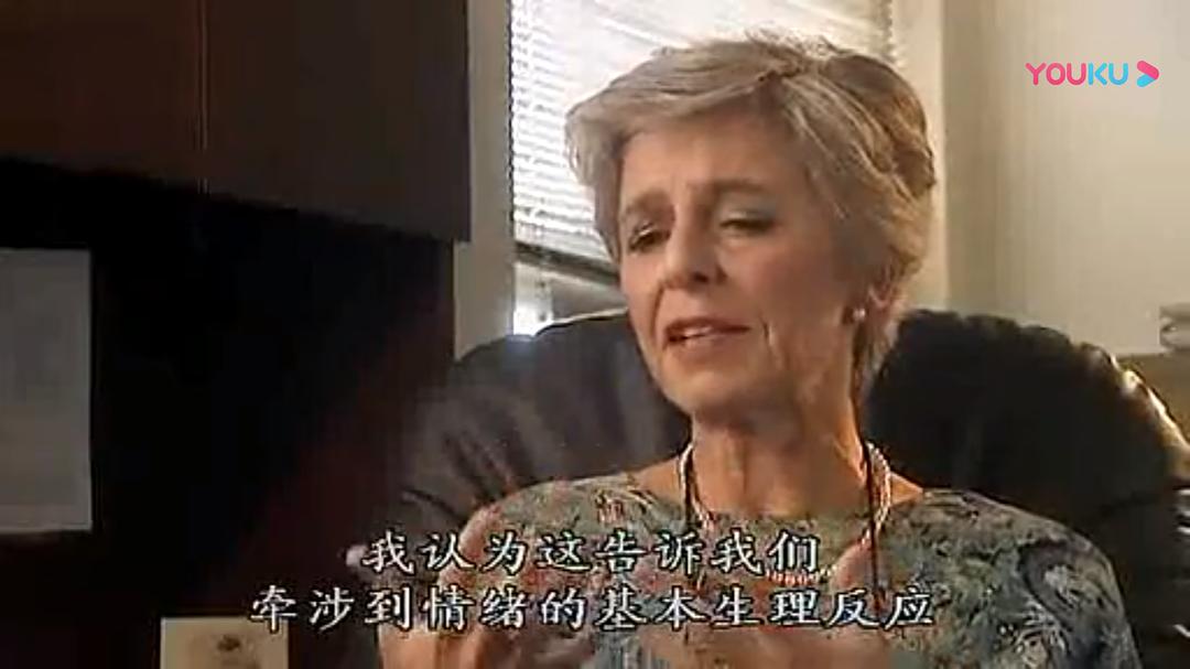 人脑漫游 Brain Story