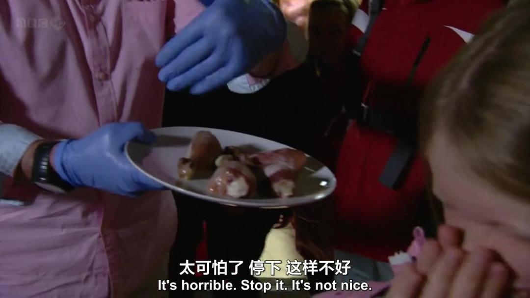 生命循环：奇异的腐烂科学 After Life: The Strange Science of Decay