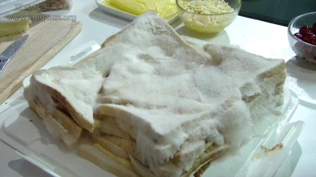 生命循环：奇异的腐烂科学 After Life: The Strange Science of Decay