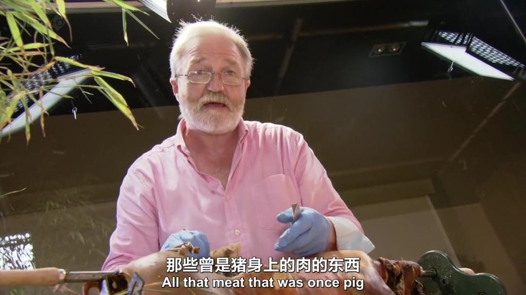 生命循环：奇异的腐烂科学 After Life: The Strange Science of Decay