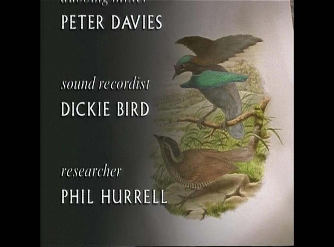 鸟的天堂 Attenborough in Paradise