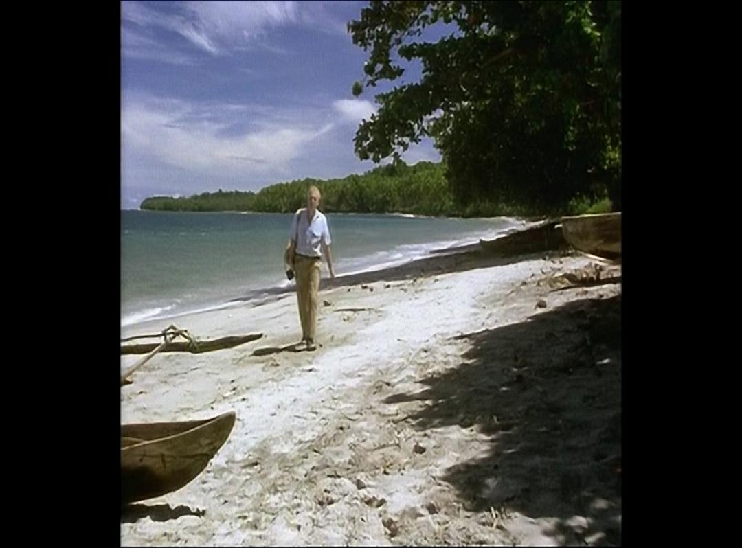 鸟的天堂 Attenborough in Paradise