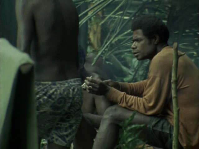 鸟的天堂 Attenborough in Paradise