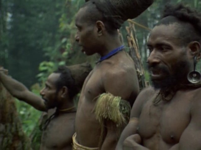 鸟的天堂 Attenborough in Paradise