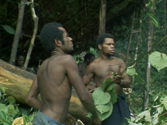 鸟的天堂 Attenborough in Paradise