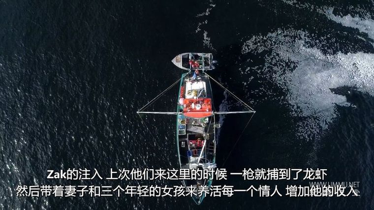 龙虾争夺战 Aussie Lobster Men