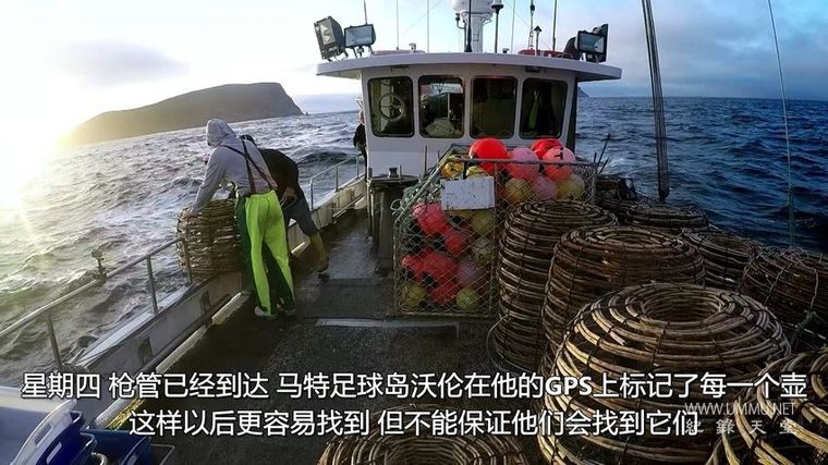 龙虾争夺战 Aussie Lobster Men