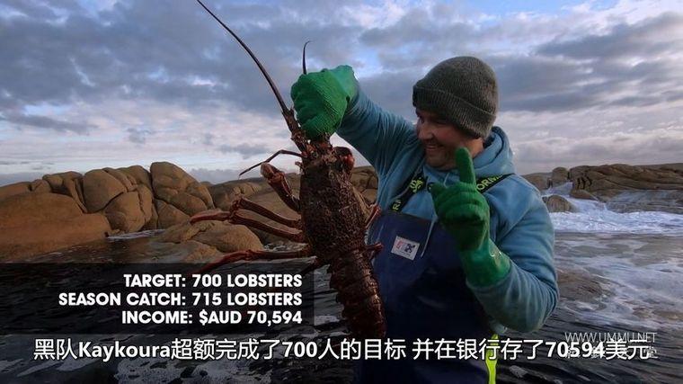 龙虾争夺战 Aussie Lobster Men