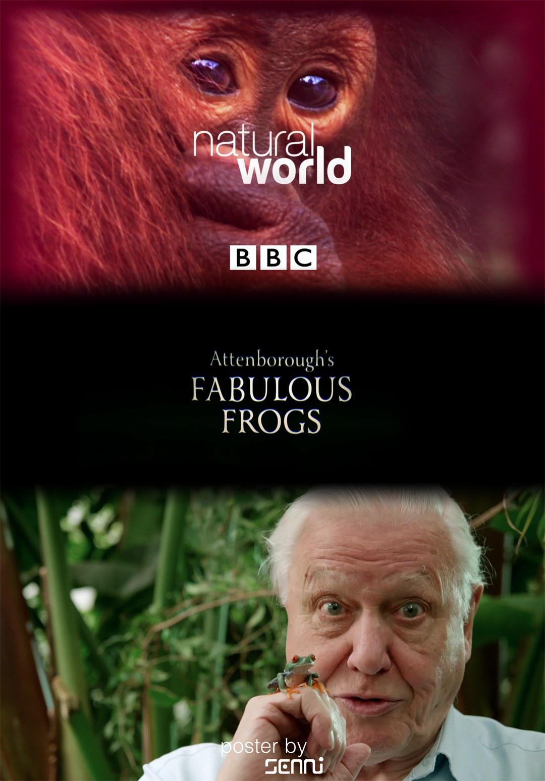 大自然：爱登保罗爷爷带你看绝妙的蛙 Nature: Attenborough's Fabulous Frogs