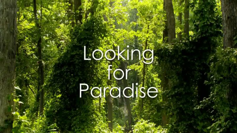 美国艺术 Art of America