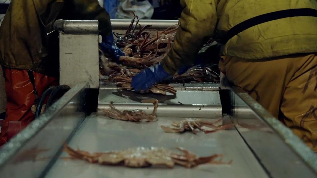 阿拉斯加：地球上的冰冻王国 Alaska: Earth's Frozen Kingdom