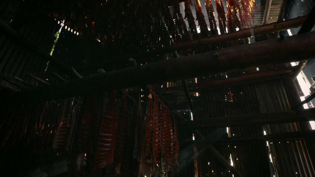 阿拉斯加：地球上的冰冻王国 Alaska: Earth's Frozen Kingdom