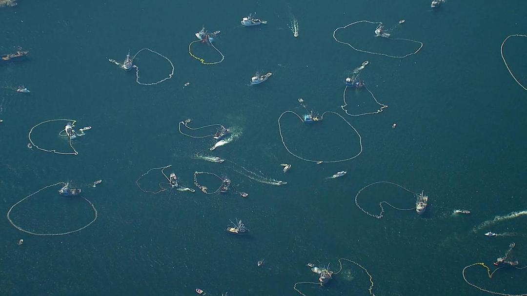 阿拉斯加：地球上的冰冻王国 Alaska: Earth's Frozen Kingdom