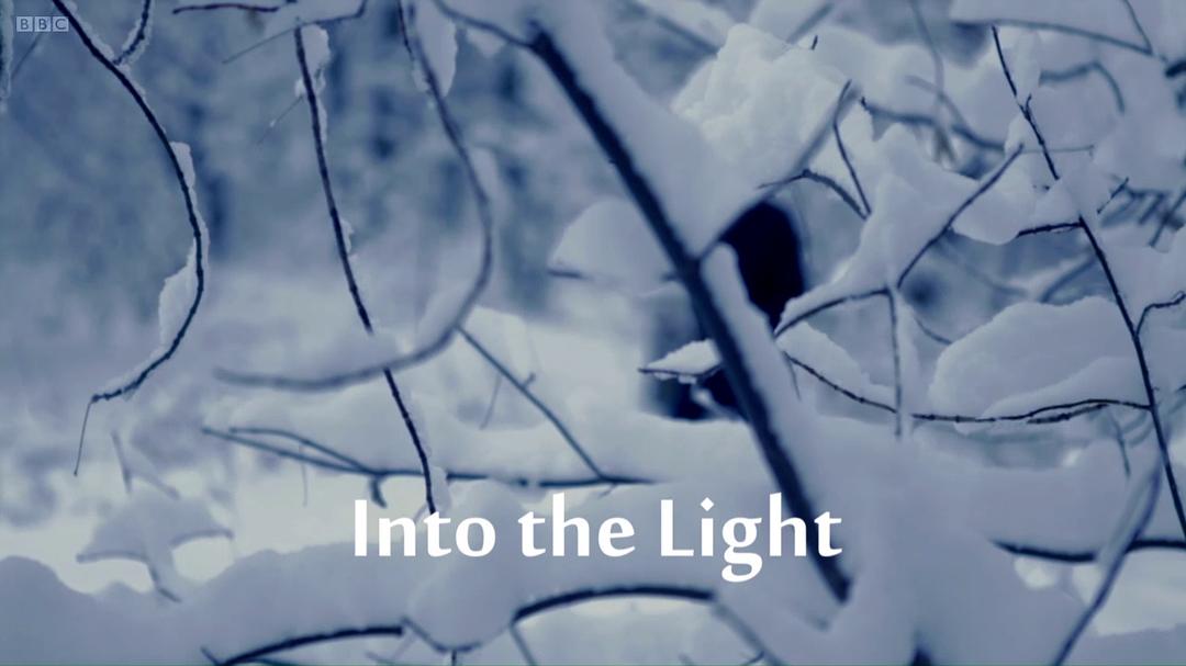 安德鲁·玛尔的世界史 Andrew Marr's History of the World