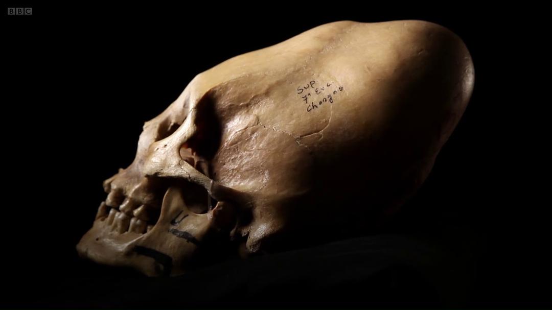 安德鲁·玛尔的世界史 Andrew Marr's History of the World