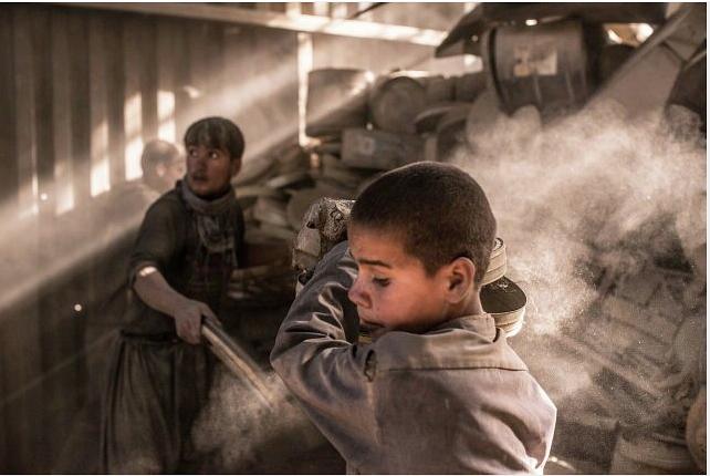 胶卷救援任务 A Flickering Truth