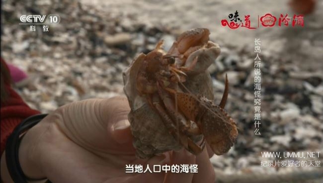 2017元旦特辑—老城新味道