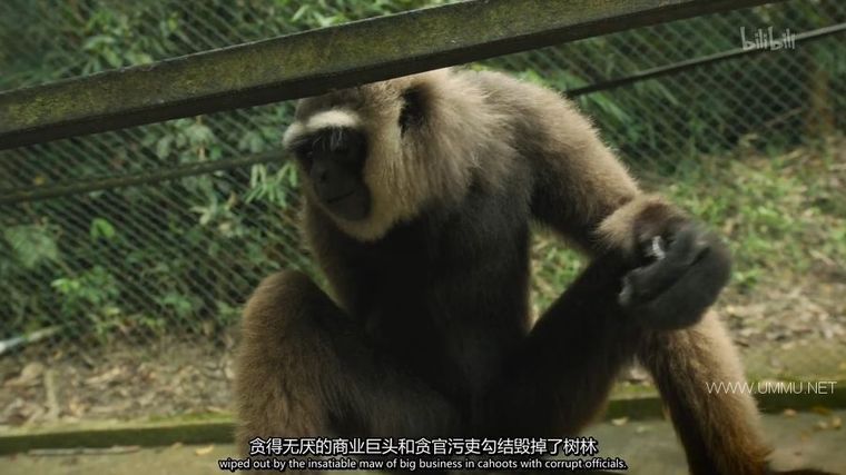 地球觉醒之旅 第二季 1000 Days for the Planet: Human Adventure 2013