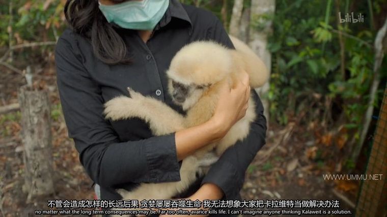 地球觉醒之旅 第二季 1000 Days for the Planet: Human Adventure 2013