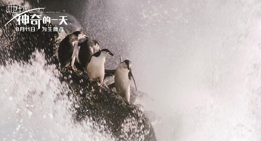 地球：神奇的一天 Earth: One Amazing Day