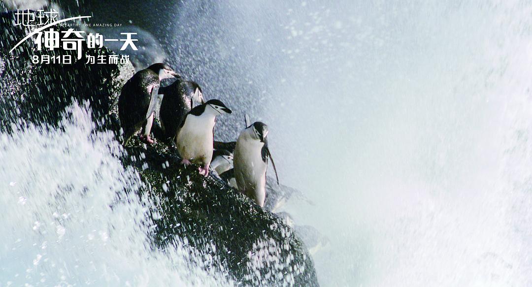 地球：神奇的一天 Earth: One Amazing Day