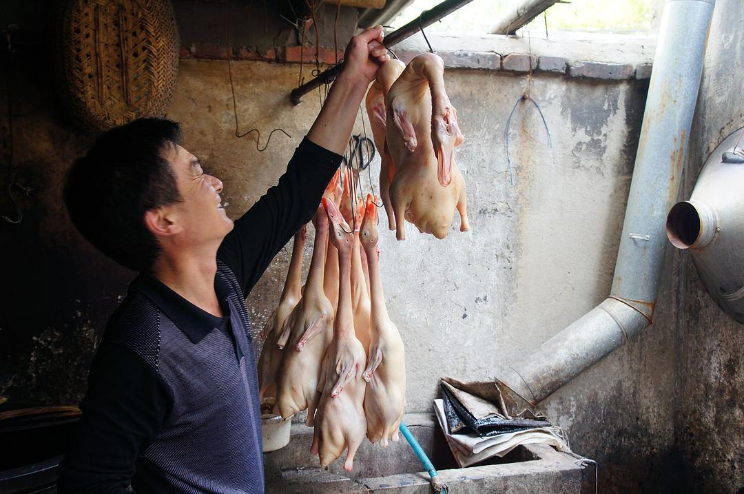 舌尖上的中国 第二季