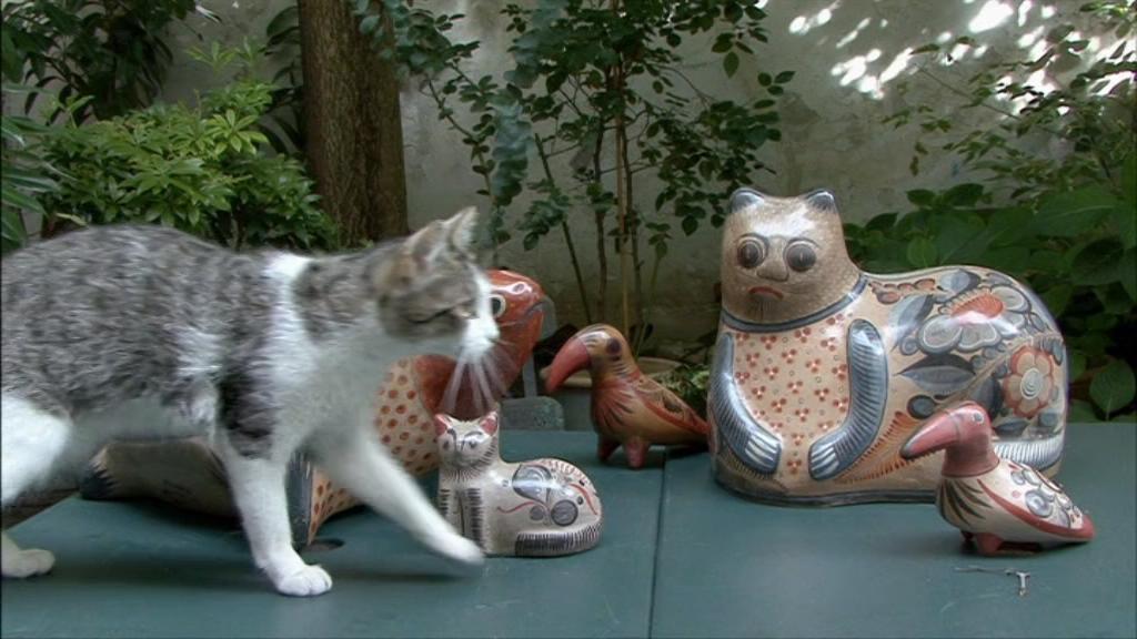 阿涅斯·瓦尔达在这里和那里 Agnès de ci de là Varda