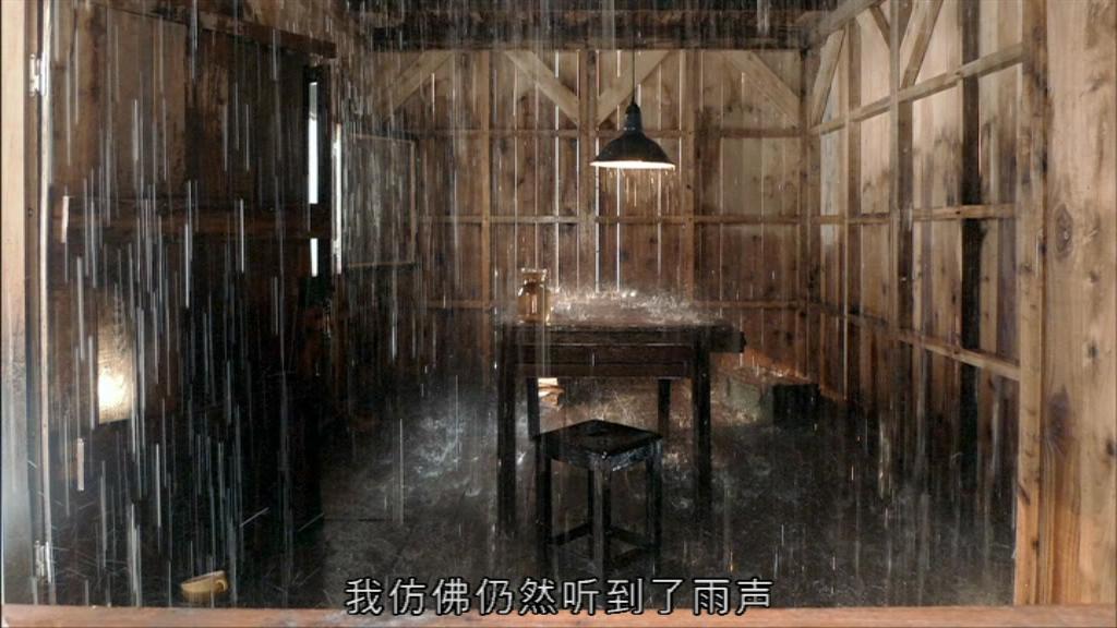 阿涅斯·瓦尔达在这里和那里 Agnès de ci de là Varda