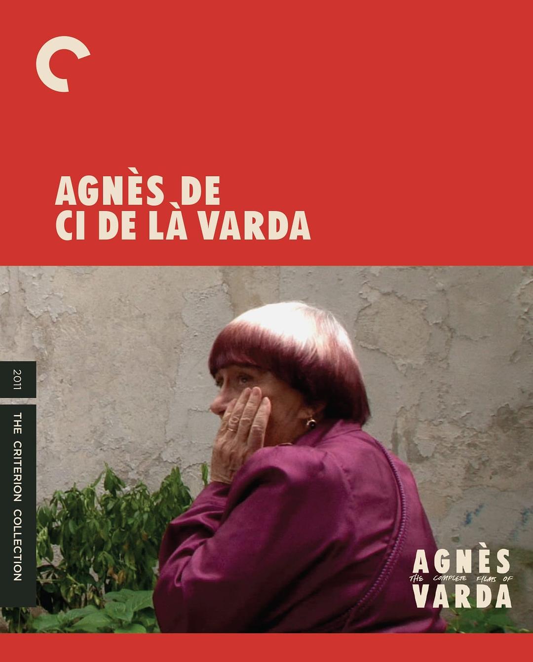 阿涅斯·瓦尔达在这里和那里 Agnès de ci de là Varda
