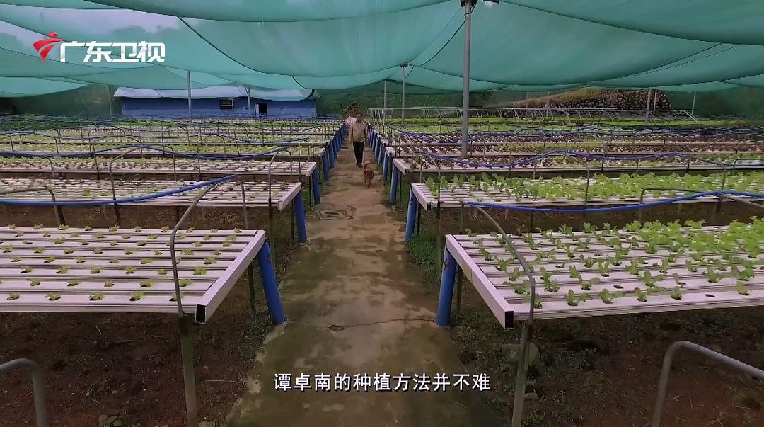 老广的味道 第一季