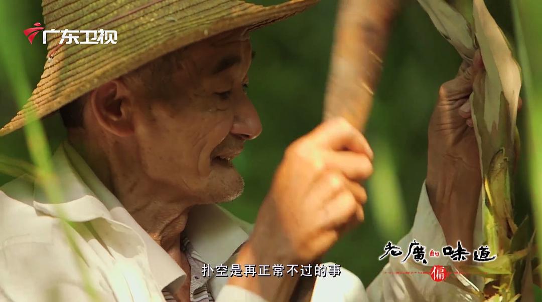 老广的味道 第一季