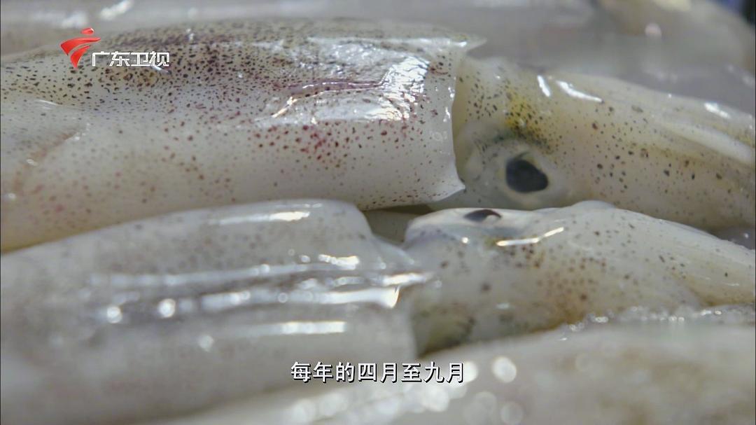 老广的味道 第五季