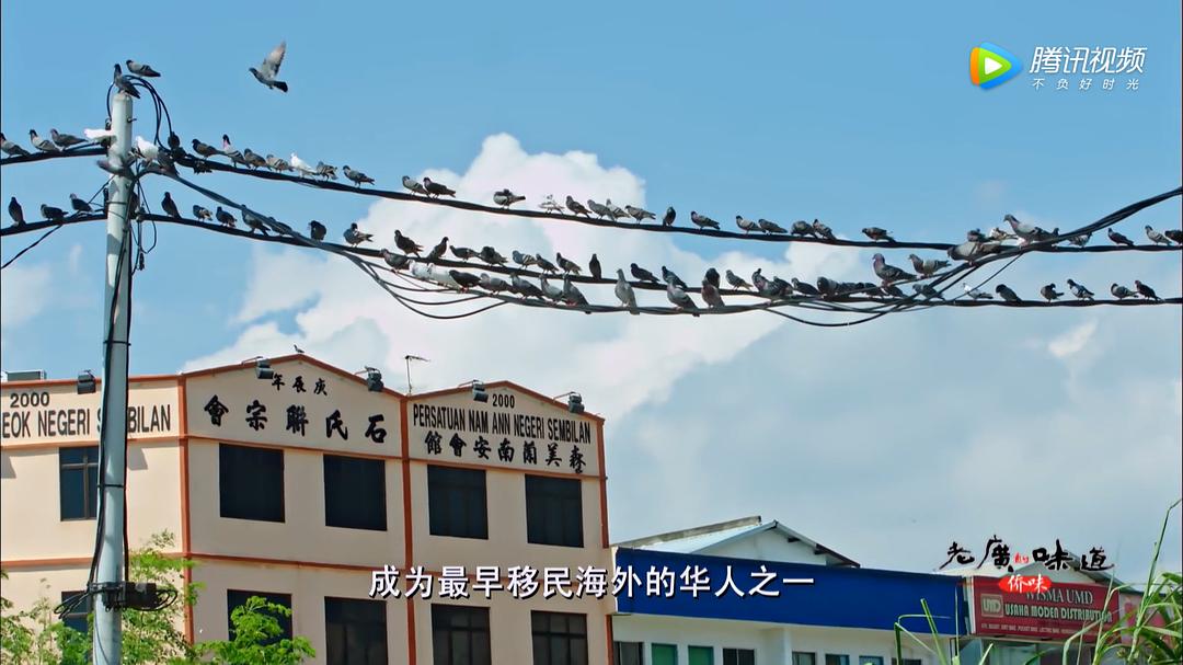 老广的味道 第四季