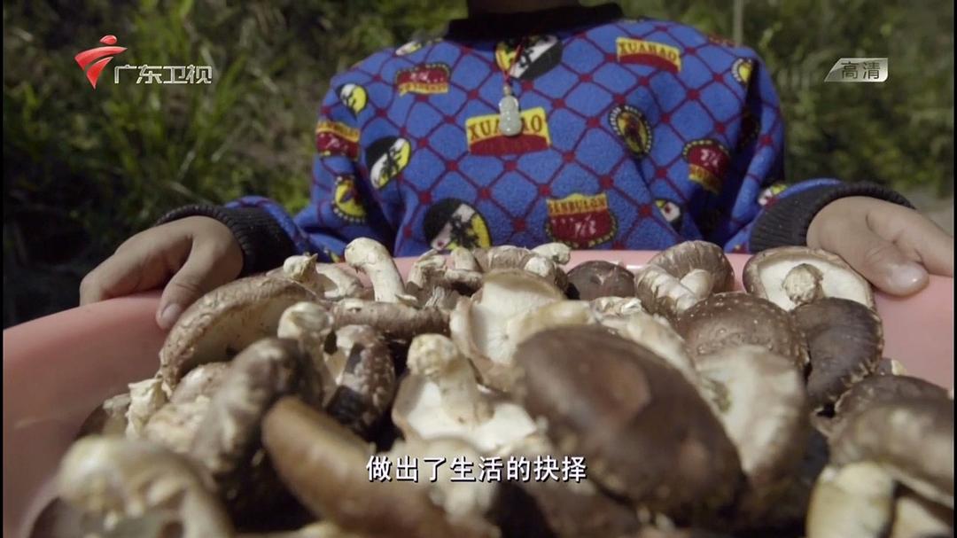 老广的味道 第二季