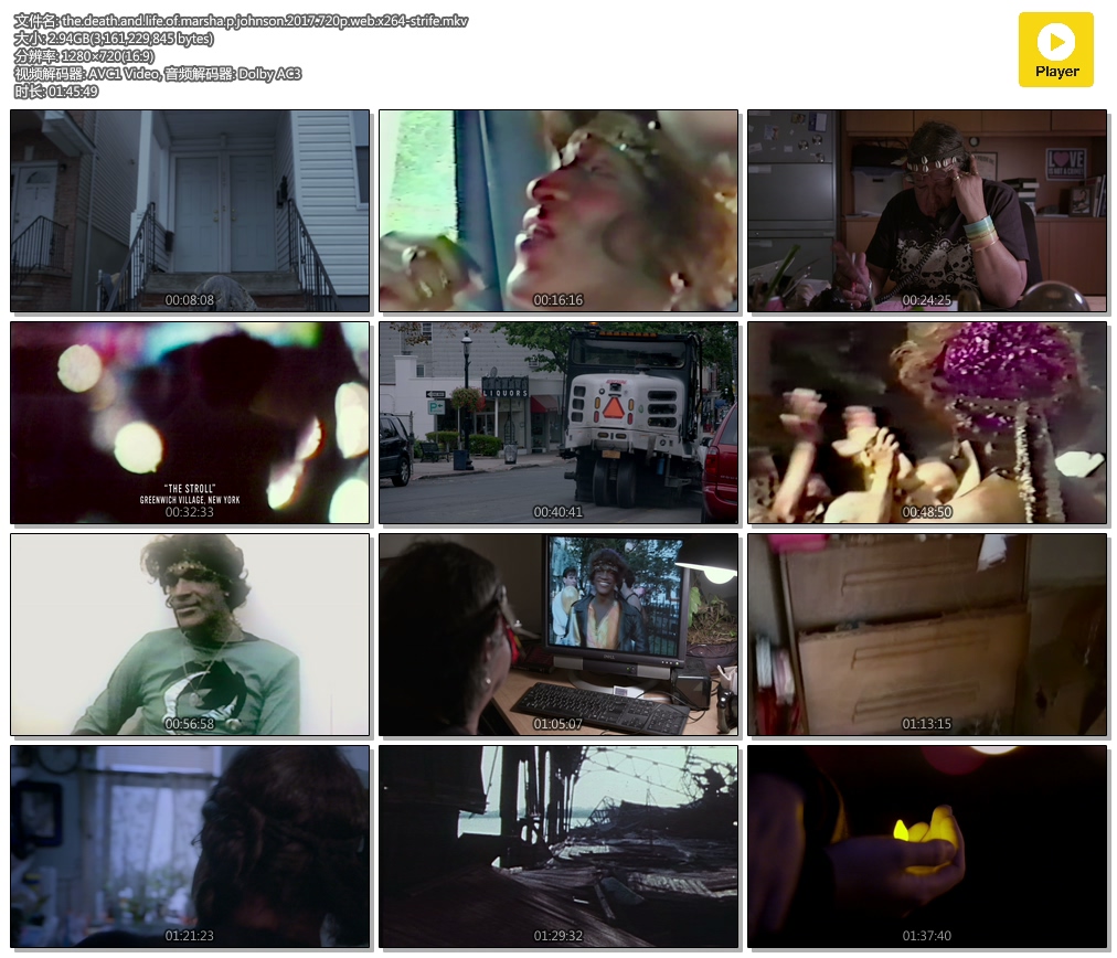 玛莎·约翰逊的死与生 The Death and Life of Marsha P. Johnson