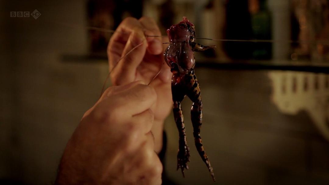 电的故事 Shock and Awe: The Story of Electricity