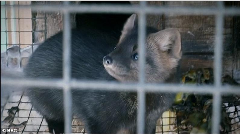 揭秘亿万富豪的衣橱 Inside the Billionaire&#x27;s Wardrobe