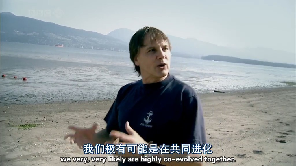 病毒为何致命 Why Do Viruses Kill