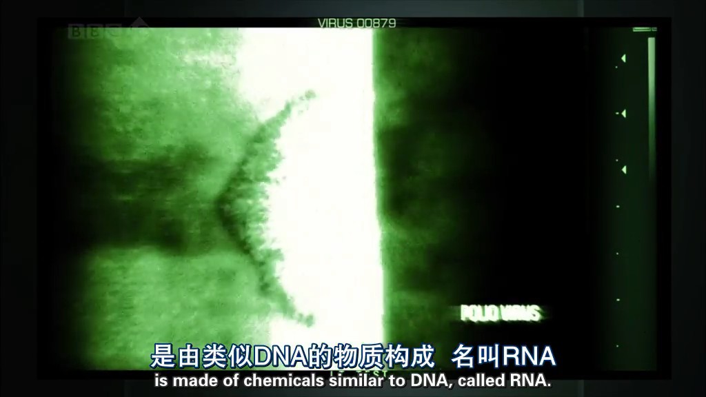 病毒为何致命 Why Do Viruses Kill