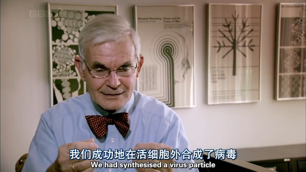 病毒为何致命 Why Do Viruses Kill