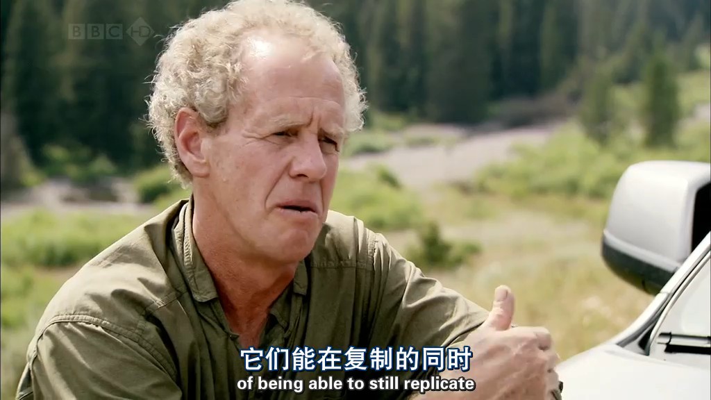 病毒为何致命 Why Do Viruses Kill