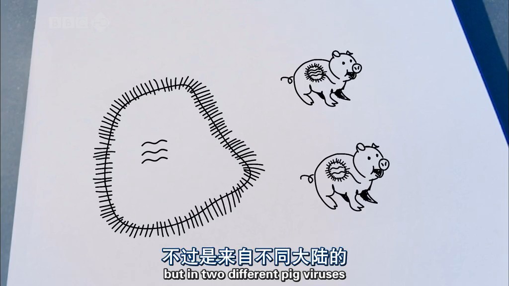 病毒为何致命 Why Do Viruses Kill