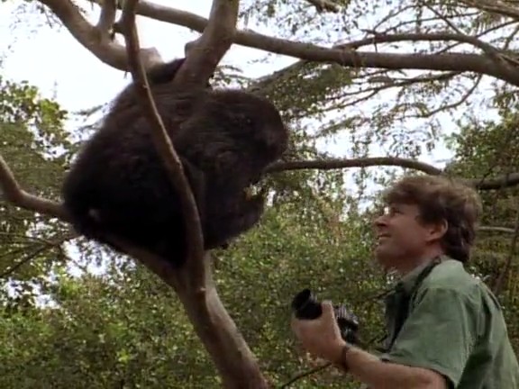 飞越非洲 Flight Over Africa