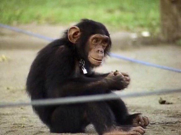 飞越非洲 Flight Over Africa