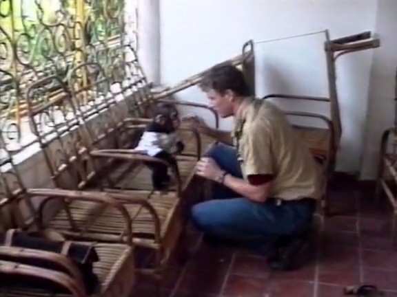 飞越非洲 Flight Over Africa