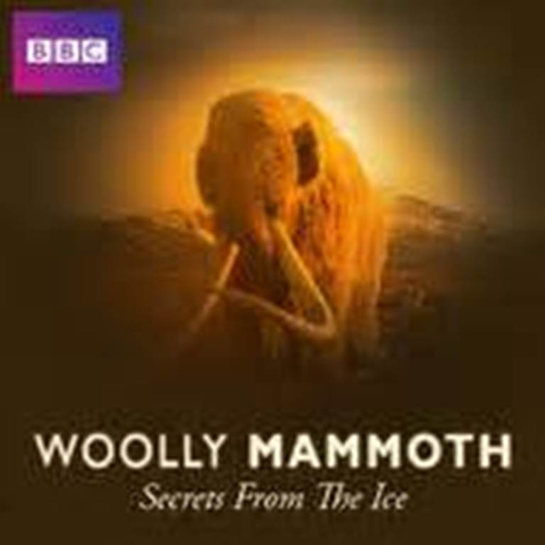 揭秘冰层中的巨兽——猛犸 Woolly Mammoth: Secrets from the Ice