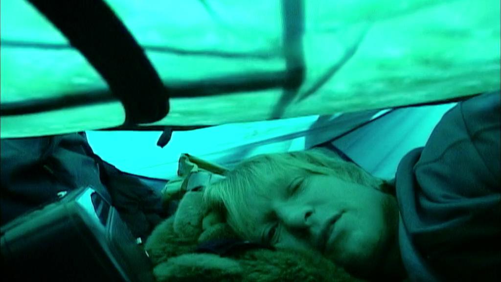 灰熊人 Grizzly Man